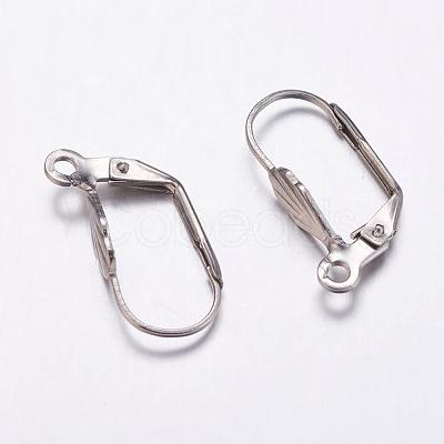 Tarnish Resistant 304 Stainless Steel Leverback Earring Findings STAS-K146-036-19mm-1