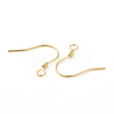 925 Sterling Silver Earring Hooks STER-D035-22G-1