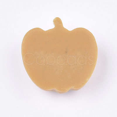 Resin Cabochons CRES-T010-108-1