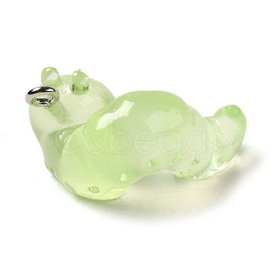 Luminous Transparent Resin Pendants X-RESI-E056-03P-02-1