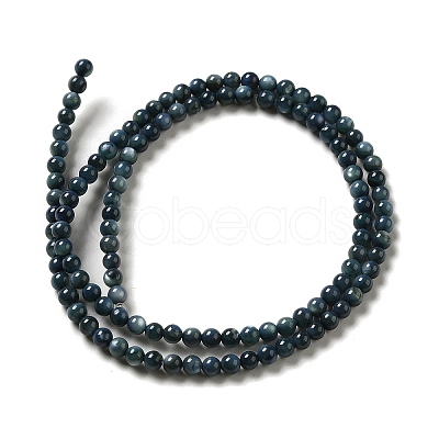 Natural Freshwater Shell Beads Strands SHEL-H003-03C-1