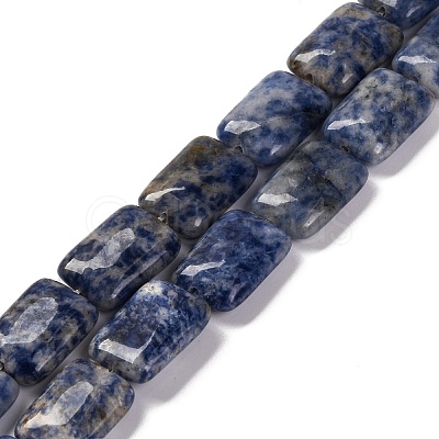 Natural Blue Spot Jasper Beads Strands G-T047-B10-01-1