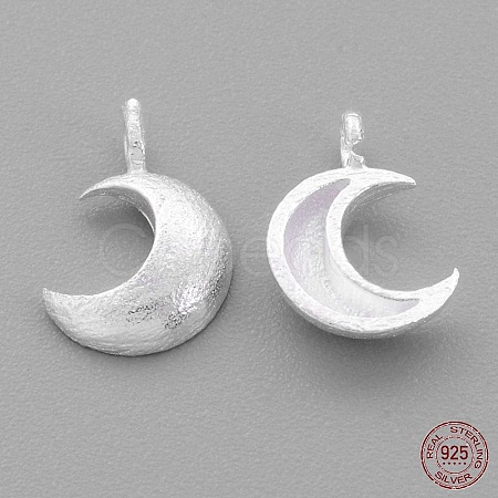 Sterling Silver Charms X-STER-G011-28MS-1