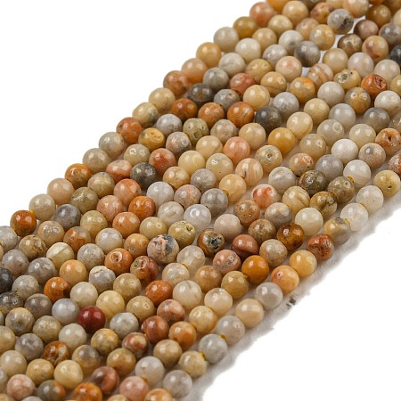 Natural Crazy Lace Agate Bead Strands G-A130-2mm-K10-1