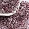 Glass Seed Beads, Inside Colours, Bicone, Purple, 4.5x3.5mm, Hole: 1.4mm, about 5625pcs/pound