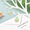 Electroplated Natural Quartz Wire Wrapped Earrings for Girl Women EJEW-JE04647-02-2