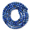 Natural Lapis Lazuli Beads Strands G-L587-A03-02-5
