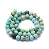 Natural Peruvian Turquoise(Jasper) Beads Strands G-E561-11-8mm-A-2