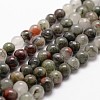 Natural African Bloodstone Beads Strands G-G735-32-10mm-1