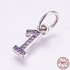 Thai 925 Sterling Silver Charms STER-G018-14A-1