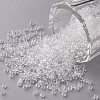 12/0 Grade A Round Glass Seed Beads SEED-Q006-F04-1