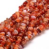 Dyed Natural Carnelian Chip Beads Strands X-G-E271-105-1