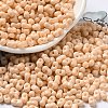 Baking Paint Glass Seed Beads SEED-K009-01A-21-1