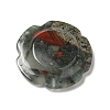 Natural Bloodstone Worry Stones G-E586-01T-3