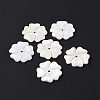 Natural White Shell Beads SSHEL-C011-08-2