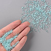 11/0 Grade A Transparent Glass Seed Beads X-SEED-N001-D-219-4