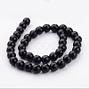 Natural Black Onyx Beads Strands X-G873-10MM-2