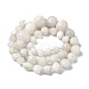Natural White Moonstone Beads Strands G-Q169-E08-01-3