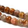 Natural Wood Lace Stone Beads Strands G-B128-A04-01-4