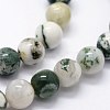 Natural Tree Agate Beads Strands X-G-I199-03-6mm-3