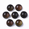 Translucent Glass Cabochons GLAA-T023-03B-2