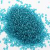 15/0 Glass Seed Beads SEED-J013-F15-19-2