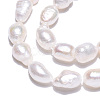 Natural Cultured Freshwater Pearl Beads Strands PEAR-N014-06B-5