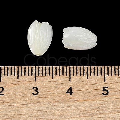 Natural Trochus Shell Flower Beads BSHE-G036-07-1