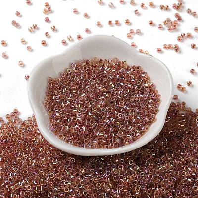 Glass Seed Beads X-SEED-S042-13A-17-1