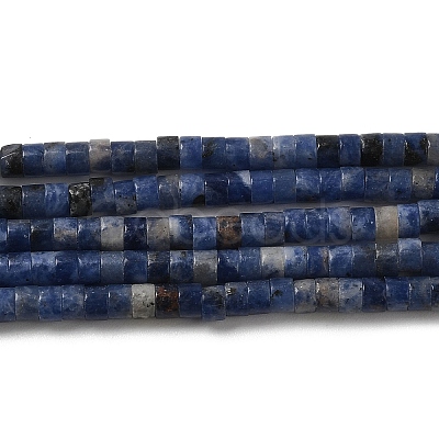 Natural Sodalite Beads Strands G-E612-A12-1