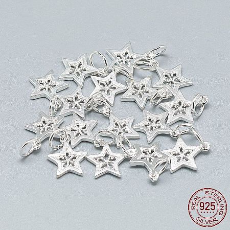 925 Sterling Silver Charms X-STER-T002-298S-1