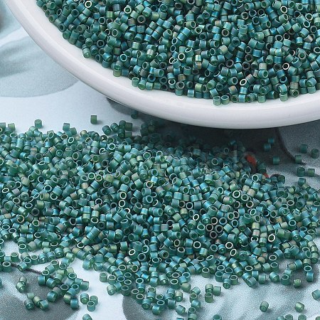 MIYUKI Delica Beads Small X-SEED-J020-DBS0859-1