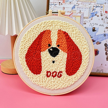 DIY Punch Embroidery Beginner Kits for Beginners PW-WG207F1-23-1