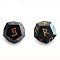 2Pcs Wooden Rune Divination Dice Set, 24 Carved Elder Futhark Letters, Black, 34x30x21mm