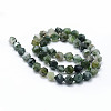 Natural Moss Agate Beads Strands G-F523-37-8mm-2