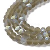 Transparent Glass Beads Strands EGLA-A044-T2mm-MB16-4