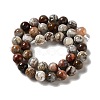 Natural Mexican Agate Beads Strands G-E578-02C-2