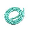 Natural Freshwater Shell Beads Strands X-SHEL-N003-33-A04-2