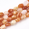 Natural Botswana Agate Beads Strands G-T107-04-1