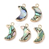 Natural Paua Shell Pendants SHEL-P017-24G-1