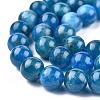 Natural Apatite Beads Strands G-O186-E02-8mm-6