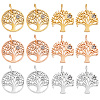 DICOSMETIC 12Pcs 2 Style 3 Colors 316 Surgical Stainless Steel Pendants STAS-DC0006-16-1