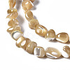 Natural Trochid Shell/Trochus Shell Beads Strands SSHEL-N034-78-B01-3