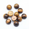 Natural Tiger Eye Cabochons X-G-P393-R25-10MM-1