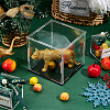 Transparent Acrylic Display Boxes AJEW-WH0282-68-5