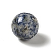 Natural Blue Spot Jasper Beads G-A206-02-07-2
