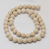 Natural Fossil Beads Strands X-G-D694-14mm-1