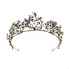 Alloy Rhinestone Crown Hair Bands for Girls Women Wedding Party Decoration HULI-PW0002-007A-1