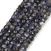 Natural Iolite Beads Strands G-H042-A52-02-1