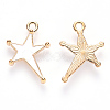 Alloy Enamel Pendants ENAM-S121-026-1